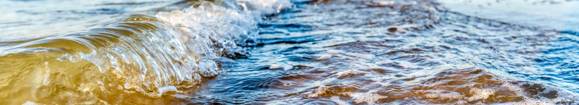 23 June 2020 brouwersdam 08999