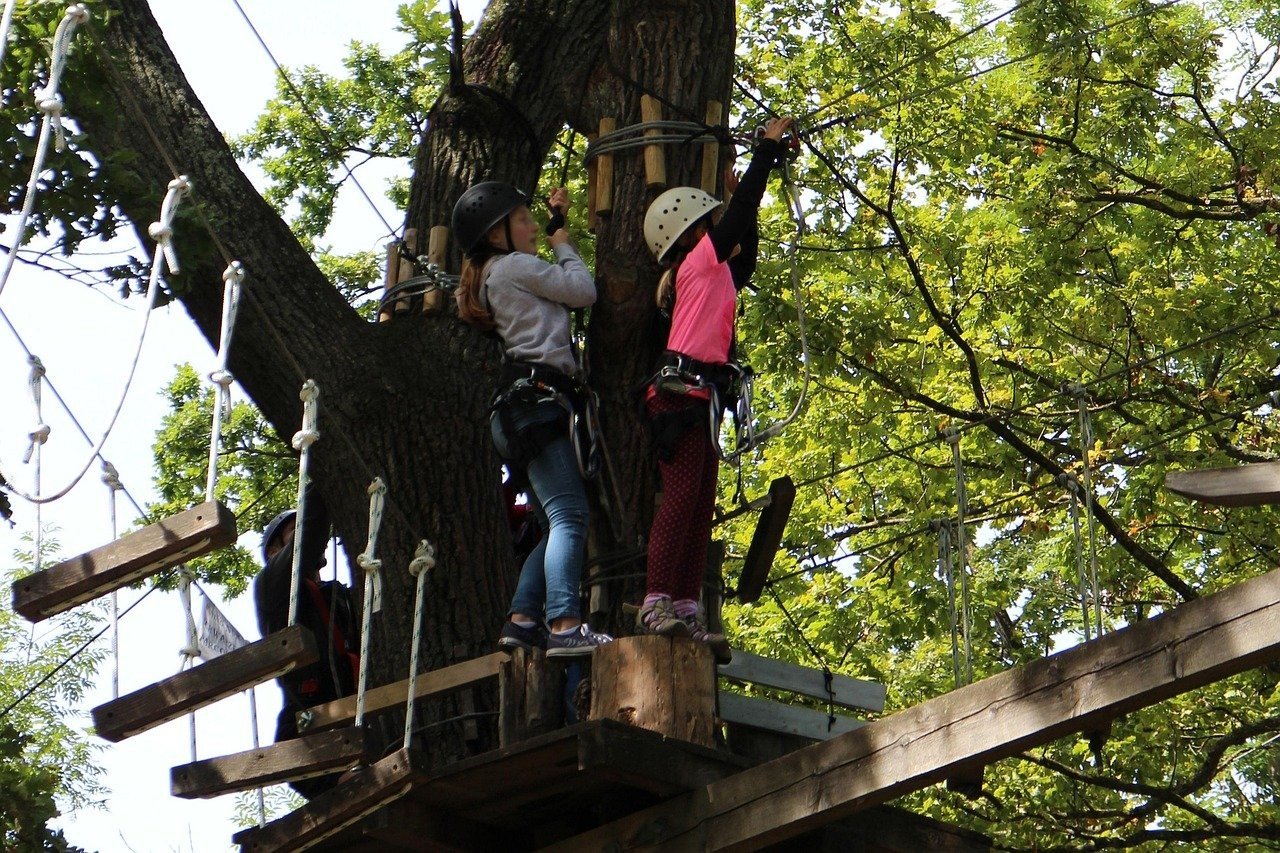 Climbing Forest Zeeland Heroes